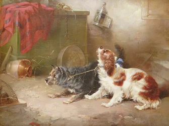 Un Terrier et un King Charles Spaniel effrayant un rat